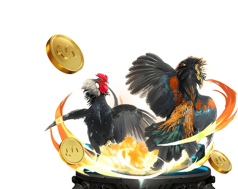 Đá gà Thomo Campuchia f8bet8 casino